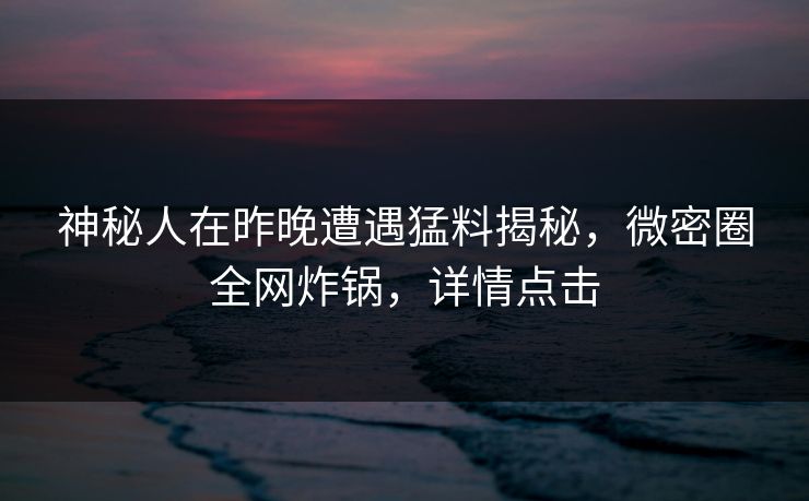 神秘人在昨晚遭遇猛料揭秘，微密圈全网炸锅，详情点击