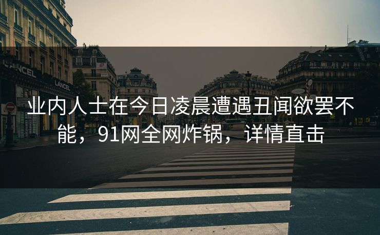 业内人士在今日凌晨遭遇丑闻欲罢不能，91网全网炸锅，详情直击