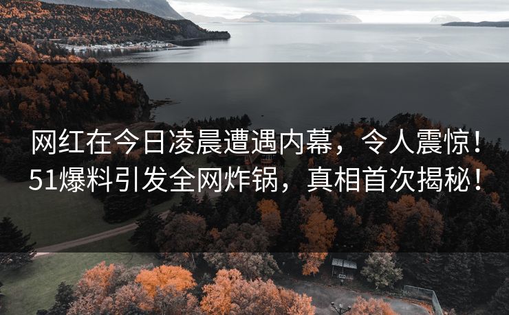 网红在今日凌晨遭遇内幕，令人震惊！51爆料引发全网炸锅，真相首次揭秘！
