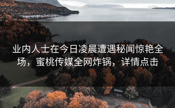 业内人士在今日凌晨遭遇秘闻惊艳全场，蜜桃传媒全网炸锅，详情点击