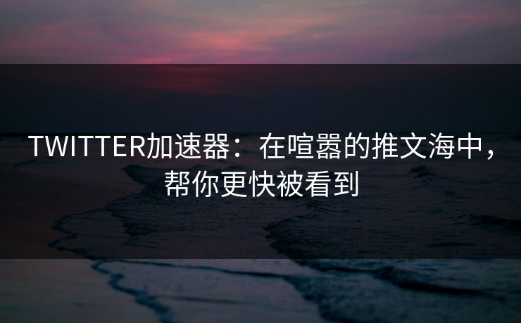 TWITTER加速器：在喧嚣的推文海中，帮你更快被看到