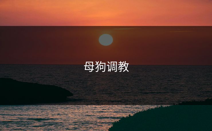 母狗调教