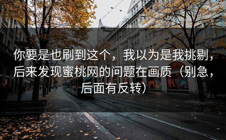 你要是也刷到这个，我以为是我挑剔，后来发现蜜桃网的问题在画质（别急，后面有反转）